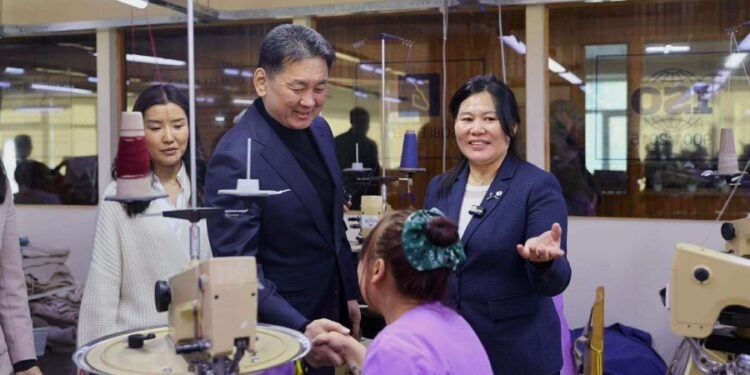 Самнасан ноолуурын экспорт 330 сая ам.долларт хүрэв