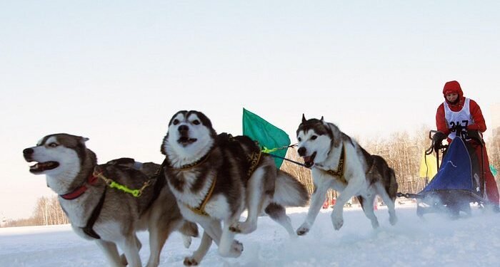 ЦАГ АГААР: Нийт нутгаар хүйтэн байна