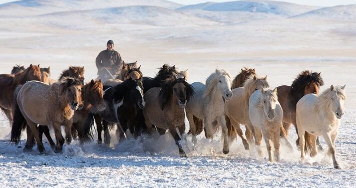ЦАГ АГААР: Ихэнх нутгаар цас орж, цасан болон шороон шуурга шуурна