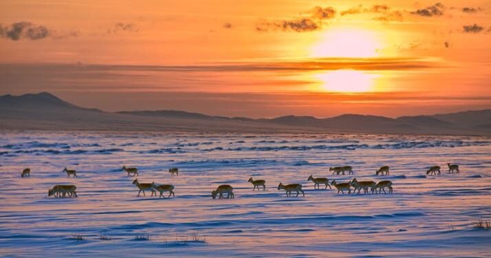 ЦАГ АГААР: Монгол-Алтайн уулархаг нутгаар цас орж, цасаар шуурна