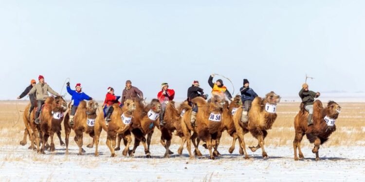 ЦАГ АГААР: Ихэнх нутгаар тогтуун байна