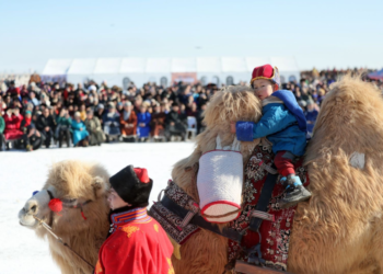 “Түмэн тэмээний баяр”-т 60 гаруй сумын тэмээчид 1000 тэмээтэй оролцов