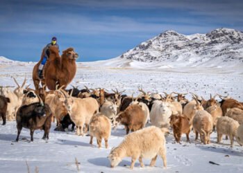 ЦАГ АГААР: Нийт нутгаар өдөртөө хүйтний эрч суларна