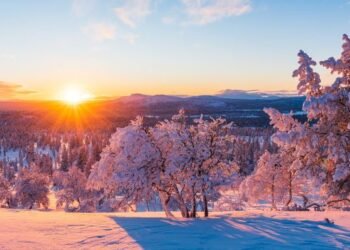 ЦАГ АГААР: Ихэнх нутгаар бороо, нойтон цас орж, цасаар шуурна