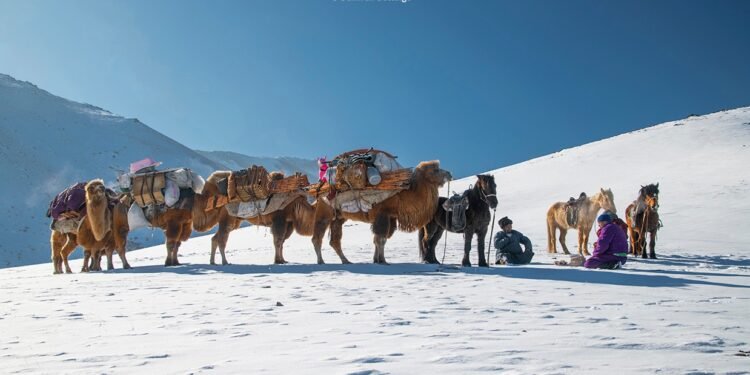 ЦАГ АГААР: Нутгийн хойд хэсгээр хүйтний эрч чангарна