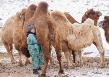 ЦАГ АГААР: Баруун болон зүүн аймгуудын нутгаар цас орно