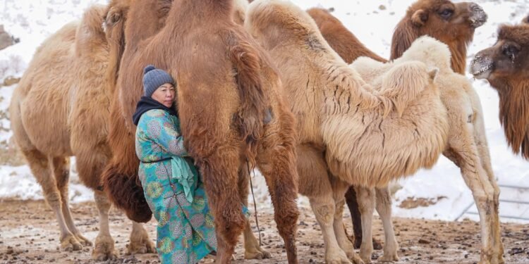 ЦАГ АГААР: Баруун болон зүүн аймгуудын нутгаар цас орно