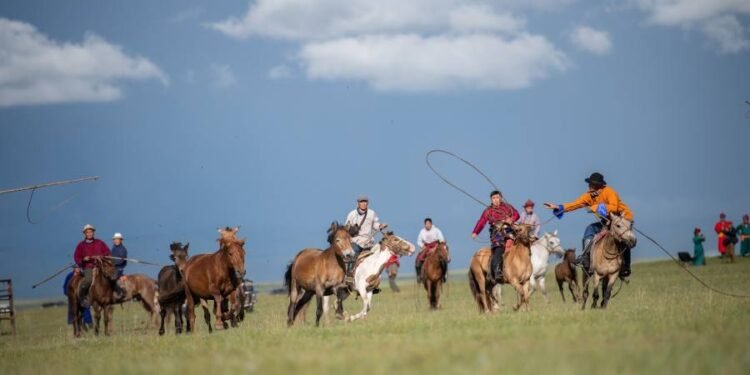 Ерөнхийлөгчийн санаачилсан “Дэлхийн адууны өдрийн тухай” тогтоолд дэлхийн 56 улс нэгдэн оржээ