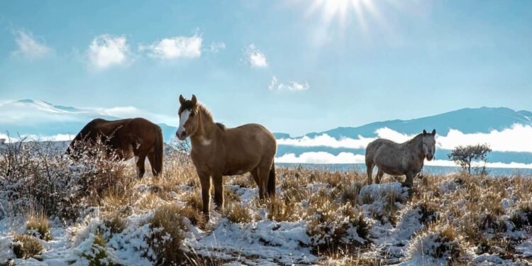 ЦАГ АГААР: Ихэнх нутгаар дулаарна