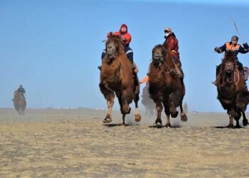 ЦАГ АГААР: Нутгийн хойд хагаст цас орж, цасаар шуурна