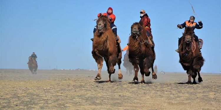 ЦАГ АГААР: Нутгийн хойд хагаст цас орж, цасаар шуурна