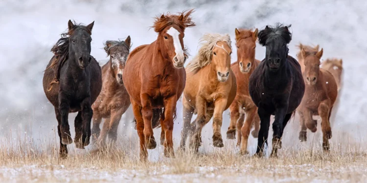 ЦАГ АГААР: Уулархаг нутгаар хур тунадас орно