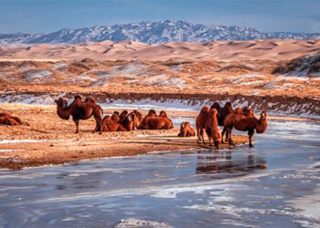 ЦАГ АГААР: Говийн бүс нутгаар +8…+13 градус дулаан байна