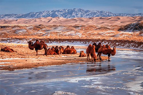 ЦАГ АГААР: Говийн бүс нутгаар +8…+13 градус дулаан байна