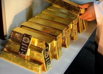 ШИНЖЭЭЧИД: Алт – доллар, өндөр өгөөжтэй хөрөнгөд дарагдаж байна