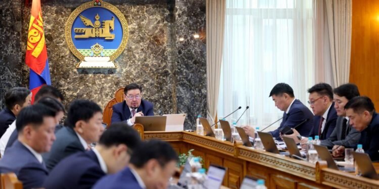 ЗГ: Ноолуурын үйлдвэрлэлийг дэмжих тухай Засгийн газрын тогтоол батлагдлаа