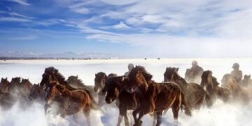 ЦАГ АГААР: Төв болон зүүн аймгуудын нутгаар бороо, цас орно