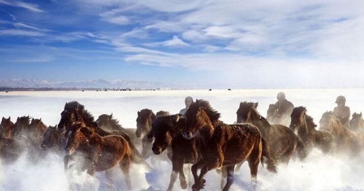 ЦАГ АГААР: Төв болон зүүн аймгуудын нутгаар бороо, цас орно
