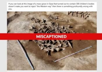 FACT CHECK: Монгол дахь Хан улсын үеийн булшны зургийг Газынх хэмээн ташаа тайлбарлажээ