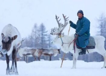 ЦАГ АГААР: Төв болон зүүн аймгуудын нутгаар цас орж, цасаар шуурна