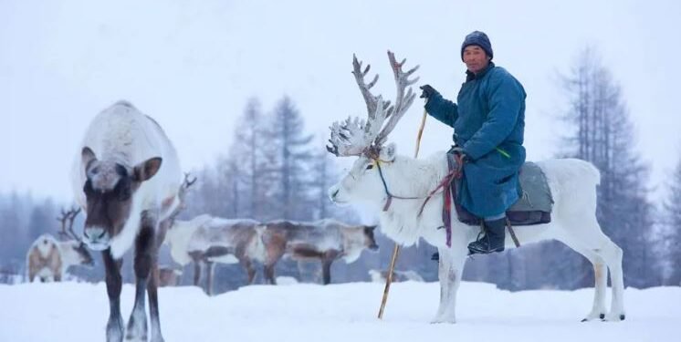 ЦАГ АГААР: Төв болон зүүн аймгуудын нутгаар цас орж, цасаар шуурна