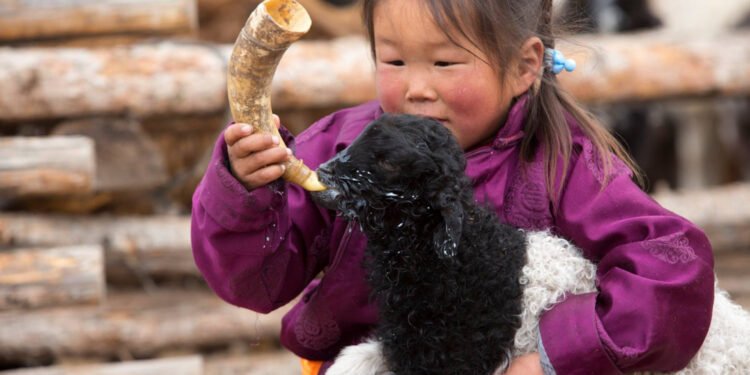 ЦАГ АГААР: Ихэнх нутгаар тогтуун, дулаан байна