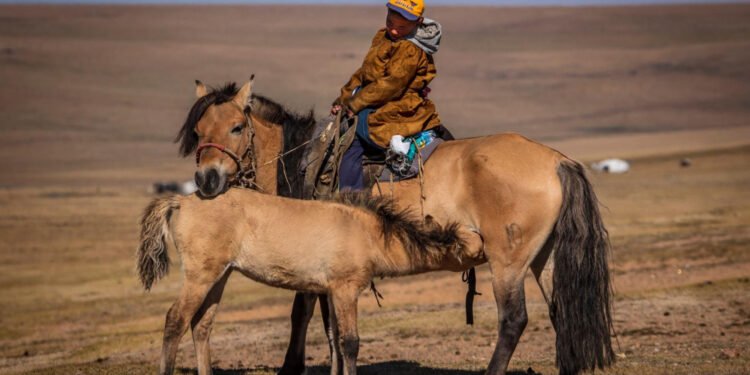 ЦАГ АГААР: Уулаараа цас орж, цасаар шуурна