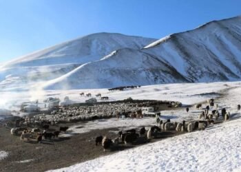 ЦАГ АГААР: Уулархаг нутгаар бороо, цас орно