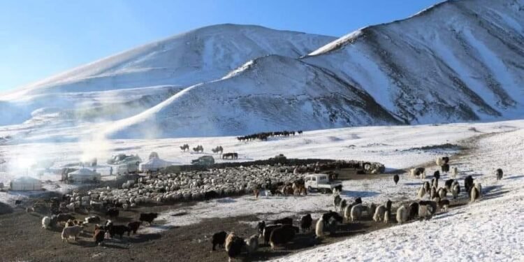 ЦАГ АГААР: Уулархаг нутгаар бороо, цас орно