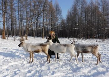 ЦАГ АГААР: Баруун болон төвийн аймгуудын нутгаар бороо, цас орно