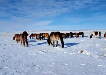 ЦАГ АГААР: Хангай, Хөвсгөл, Хэнтийн уулархаг нутгаар бороо, цас орно