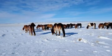 ЦАГ АГААР: Хангай, Хөвсгөл, Хэнтийн уулархаг нутгаар бороо, цас орно