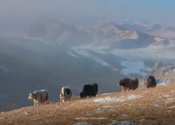 ЦАГ АГААР: Монгол-Алтайн уулархаг нутгаар бороо, нойтон цас орно