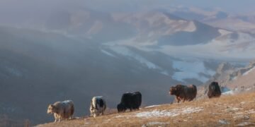 ЦАГ АГААР: Монгол-Алтайн уулархаг нутгаар бороо, нойтон цас орно