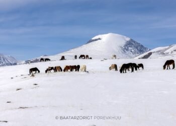 ЦАГ АГААР: Алтай, Хангай, Хөвсгөлийн уулархаг нутгаар бороо, цас орно