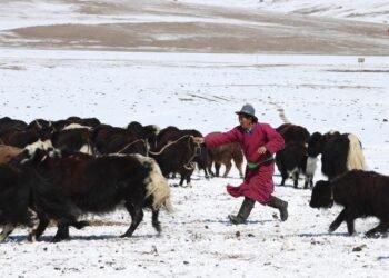 ЦАГ АГААР: Зүүн аймгуудын нутгаар цас орж, цасаар шуурна