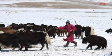 ЦАГ АГААР: Зүүн аймгуудын нутгаар цас орж, цасаар шуурна
