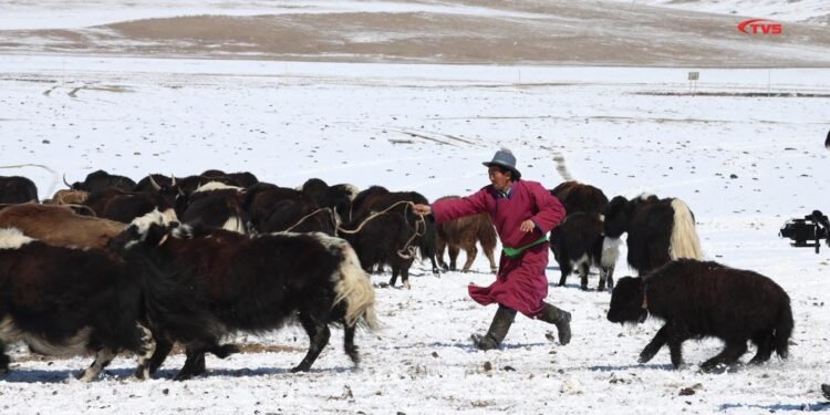 ЦАГ АГААР: Зүүн аймгуудын нутгаар цас орж, цасаар шуурна