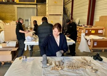 Үлэг гүрвэлийн олдворуудыг эх оронд нь эргүүлэн авчрах ажлын хэсэг Парис хотноо ажиллажээ