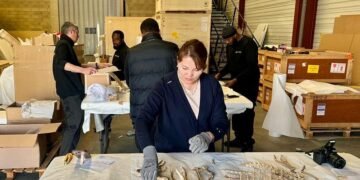 Үлэг гүрвэлийн олдворуудыг эх оронд нь эргүүлэн авчрах ажлын хэсэг Парис хотноо ажиллажээ