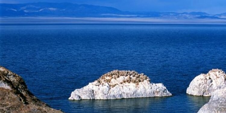 ЦАГ АГААР: Монгол-Алтайн уулархаг нутаг, Увс нуурын хотгороор бороо, нойтон цас орно