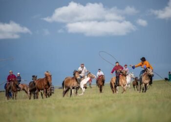 ЦАГ АГААР: Баруун, зүүн аймгуудын нутгаар хур тунадас орно