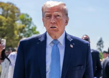 NATO-гийн тэргүүн Трампыг “аав” гэж дуудсанаа тайлбарлав