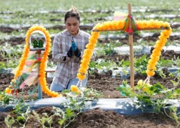 Ормузын хоолойн саатал үргэлжилвэл дэлхий хүнсний ноцтой хямралд орно