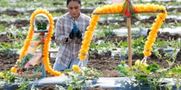 Ормузын хоолойн саатал үргэлжилвэл дэлхий хүнсний ноцтой хямралд орно