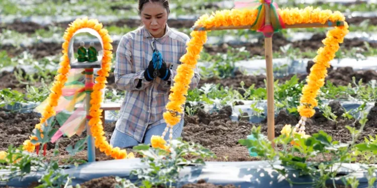 Ормузын хоолойн саатал үргэлжилвэл дэлхий хүнсний ноцтой хямралд орно