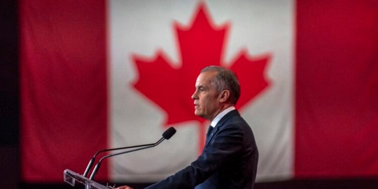 “Трампад хүндэтгэлтэй хандана, гэхдээ долигонож биш”