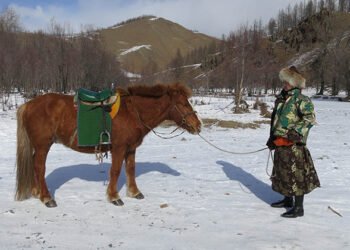 ЦАГ АГААР: Төв болон зүүн аймгуудын нутгаар цас орж, цасаар шуурна