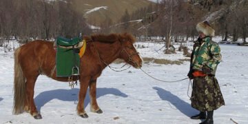 ЦАГ АГААР: Төв болон зүүн аймгуудын нутгаар цас орж, цасаар шуурна